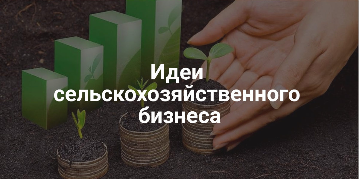 Идеи сельскохозяйственного бизнеса